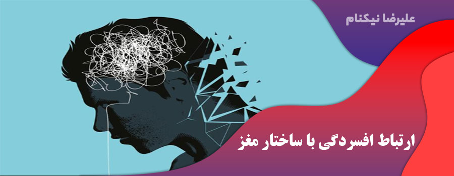ارتباط افسردگی با ساختار مغز