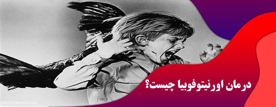 درمان اورنیتوفوبیا چیست؟