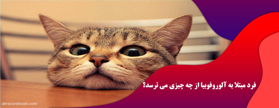 فرد مبتلا به آلوروفوبیا از چه چیزی می ترسد؟