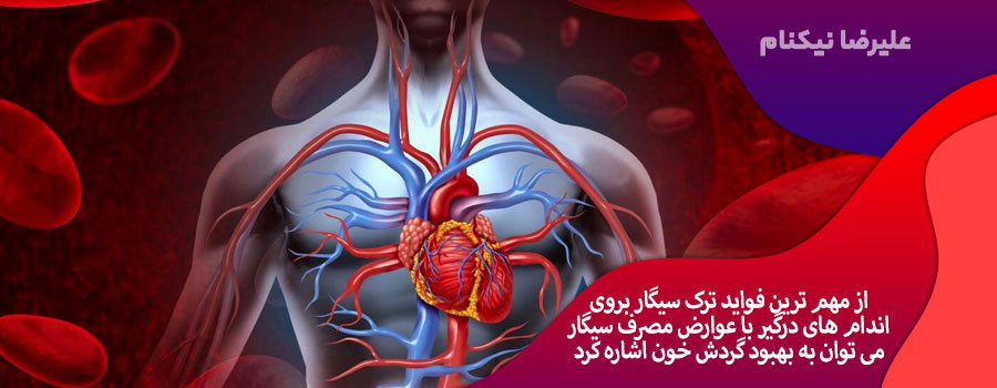 فواید-ترک-سیگار-بر-روی-اندام-های-درگیر-با-عوارض-مصرف-سیگار