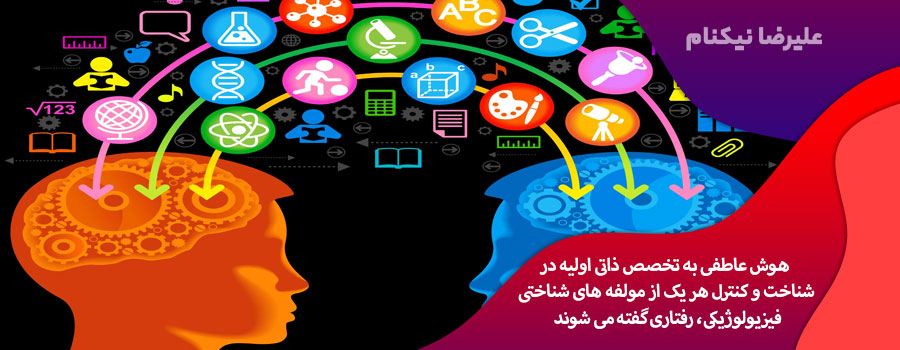 هوش هیجانی، عاطفی یا احساسی