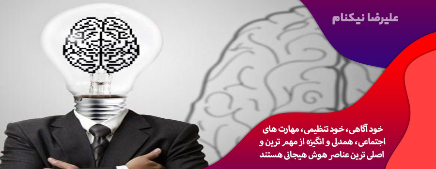هوش هیجانی، عاطفی یا احساسی