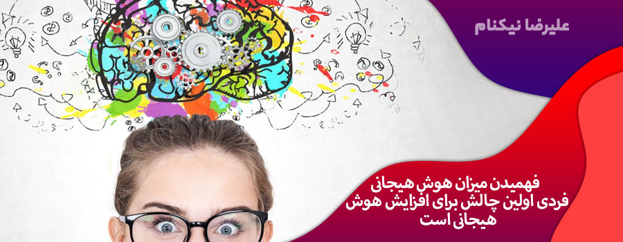 هوش هیجانی، عاطفی یا احساسی