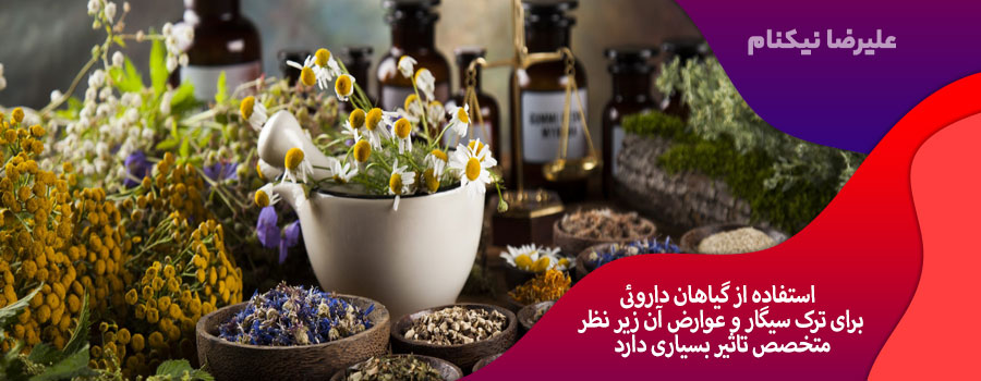 گیاهان-داروئی