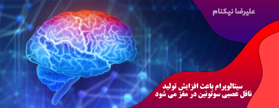 تاثیرات-سیتالوپرام-بر-مغز
