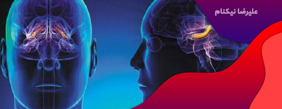 استرس-مغزی-چیست؟