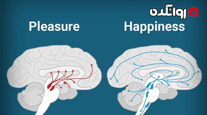 شادی در مغز شما چه شکلی است؟