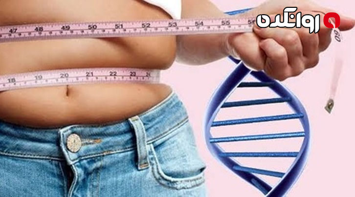 ژن‌ ها چه تاثیری روی وزن افراد دارد؟